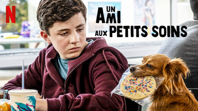 Un Ami Au Petit Soin Saison 2 Un ami aux petits soins (2020) - Netflix | Flixable